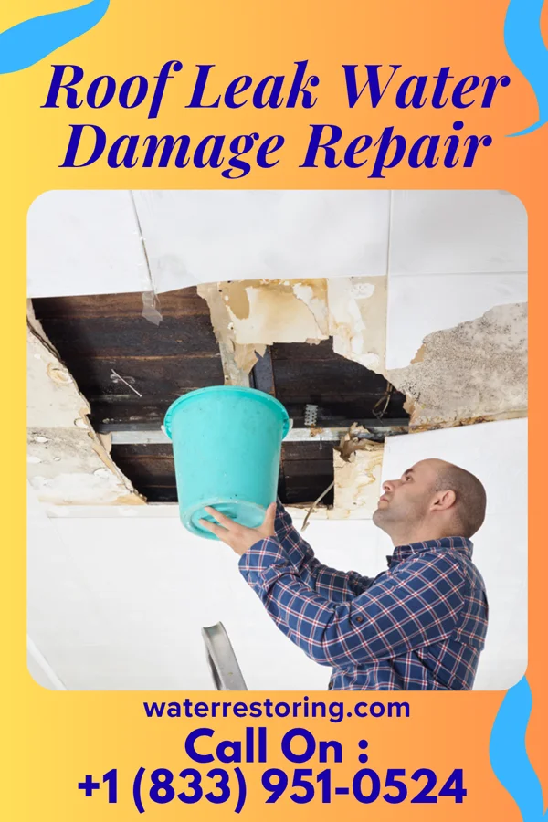 Roof Leak Water Damage Repair in Atlanta, NE